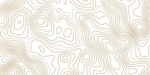 Topography and geography map grid abstract backdrop. Abstract topographic contours map background. Contour Line Pattern in Black and White. Luxury gold abstract line art background vector