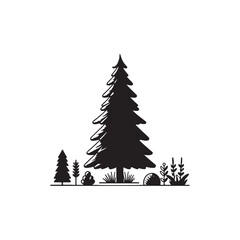 Obraz premium Douglas Fir Evergreen Conifer Tree Vector Design.