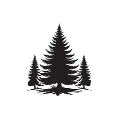 Obraz premium Douglas Fir Evergreen Conifer Tree Vector Design.