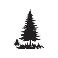 Douglas Fir Evergreen Conifer Tree Vector Design.