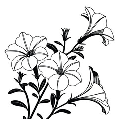 Black and White Outline Illustration of Petunia Flowers with Leaves floral