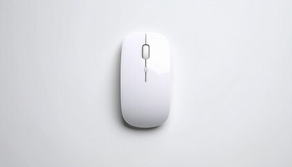computer mouse isolated on white 