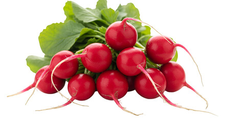 A close up of a bunch of fresh radishes with green leaves on a black background in a studio shot isolated on white transparent background