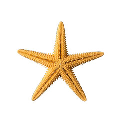 Detailed Close Up of a Textured Orange Starfish Isolated on Black Background Stock Photo