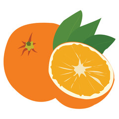 Fresh bright exotic whole and half lemon fruit isolated on white background This is an EPS File