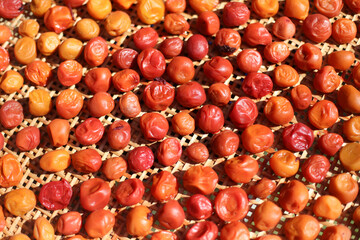 梅干しを干す様子