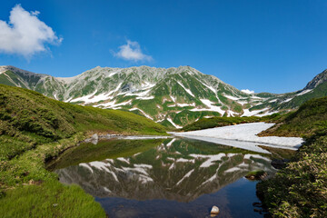 立山 みどりが池