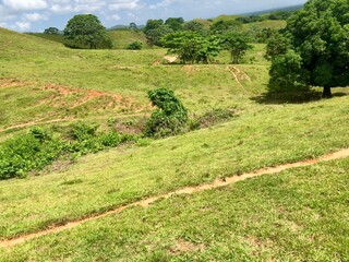 Agricultural land with hills and trees