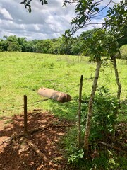 old wooden fence and grass 