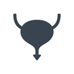 Urinary Bladder Anatomy Icon