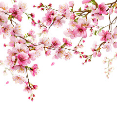 Blossoming branches of pink and white flowers