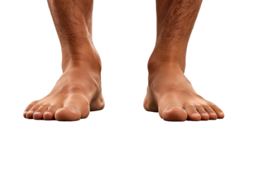 Close up view of human feet  focusing on anatomy and health related subjects on transparent background