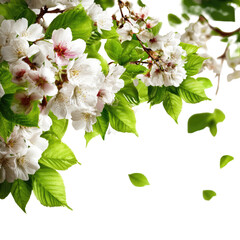 Fototapeta premium Blossoming spring branches with vibrant flowers and leaves