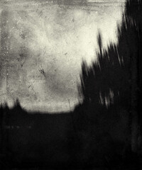 Scary horror forest, grunge gloomy spooky wallpaper