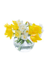 Narcissus flowers in a vase isolated on a white background