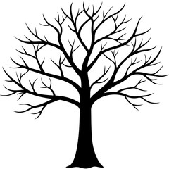 Fototapeta premium tree, without leaves Silhouette