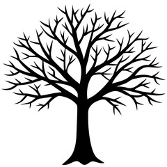 tree, without leaves Silhouette