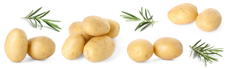 Fresh raw potatoes and rosemary isolated on white, collage
