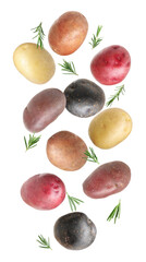 Different types of fresh potatoes with rosemary falling on white background