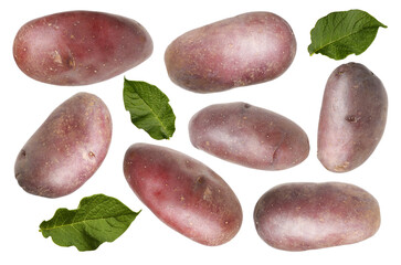 Fresh red potatoes with green leaves isolated on white, collage