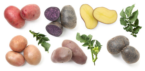 Different types of raw potatoes with green leaves isolated on white, collage
