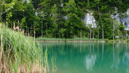 Tranquil lake surrounded by lush greenery.