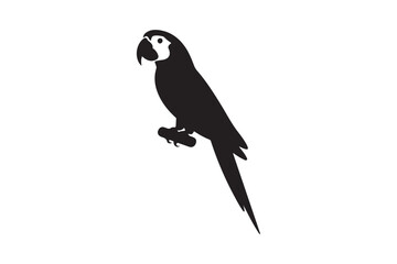 Adorable black silhouette of a parrot perched on a branch