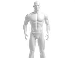 Full Body White Male Mannequin, Studio Shot, Fashion Display.