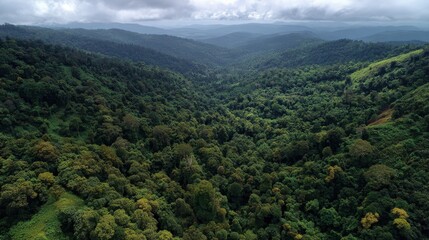 Obraz premium Lush green valley surrounded by mountains under cloudy sky in remote location
