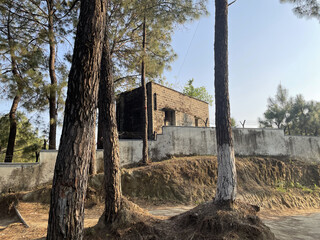 a beautiful home photo click by still