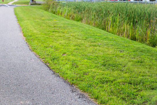 managing stormwater runoff. vegetated swale or bank for filtering rainwater in a commercial area. environment and landscape design.