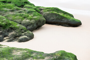 White sand and green stones on the beach in Estoril, Portugal.