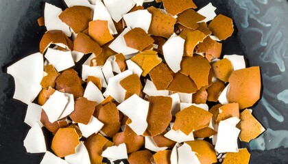 Broken egg shells (1)