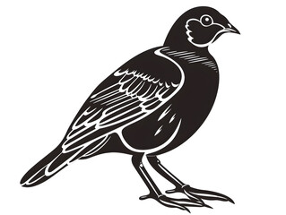 Naklejka premium quail images silhouette