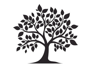 Fototapeta premium tree leaves silhouette