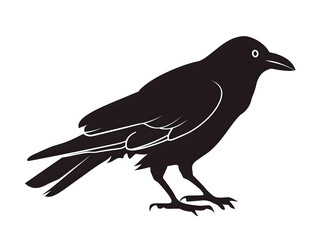 Obraz premium crow silhouette
