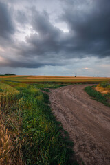 A dirt path splits into a fork in the road between a green and a golden wheat field, with a distant power line in the background under a moody, heavily clouded sky.
