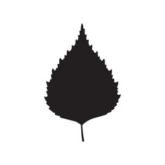 Obraz premium Birch tree leaf silhouette vector flat illustration design on white background
