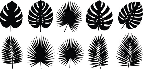Tropical leaf silhouettes collection, botanical illustrations, foliage icons, black pictograms, exotic plants, jungle design elements, Monstera leaves, palm leaf graphics © LITON