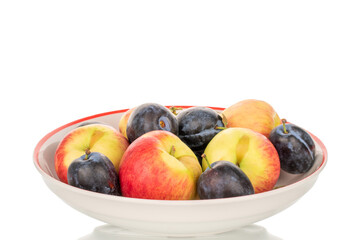 Juicy organic apples and black plums isolated on white background, macro.