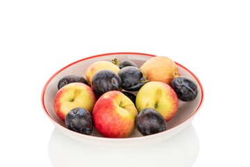 Juicy organic apples and black plums isolated on white background, macro.