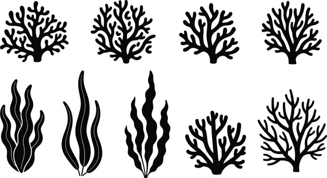 Seaweed and coral silhouettes, black vector marine plants set, underwater flora illustration, ocean botanical elements, aquatic nature design for decoration and education