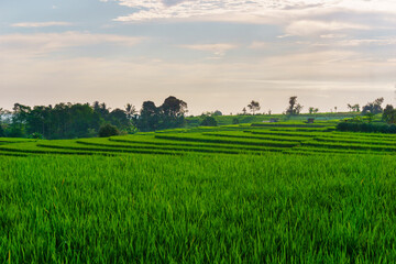 Wonderful sunrise scenery indonesia nature mountain valley forest with bright sky