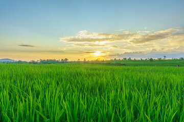 Wonderful sunrise scenery indonesia nature mountain valley forest with bright sky