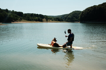 Man kneeling on a paddle board with his German Shepherd dog in a life vest. Calm lake and nature background. Summer outdoor activities with pet