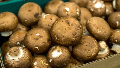 Brown mushrooms in a box