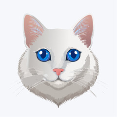 Obraz premium Weiße Katze