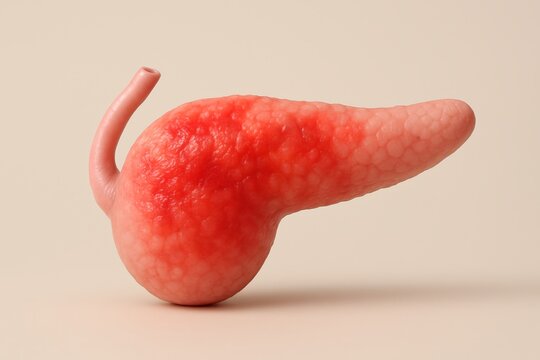 Photorealistic 3D render of pancreas in soft pink tones showing swelling and diffuse red inflammation across surface, representing acute pancreatitis. Minimalist medical concept, educational clarity.