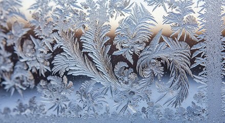 Intricate feathery frost patterns with delicate ice crystals forming fernlike shapes on a frozen window.