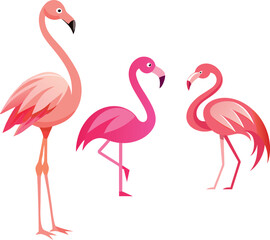 new design Buck bird silhouette vector design eps